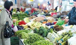 爆料江南买菜视频大全下载,揭秘日常生活中的温馨瞬间